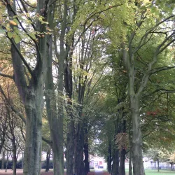 City Park (Stadspark) - Tilburg