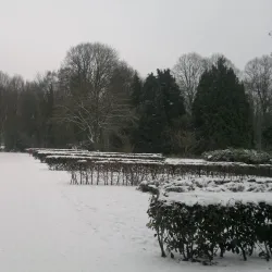 City Park (Stadspark) - Tilburg