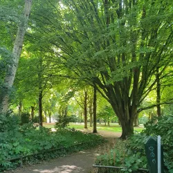 City Park (Stadspark) - Tilburg