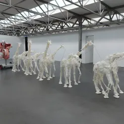 De Pont Museum - Tilburg