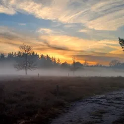 De Maashorst Nature Reserve - Uden