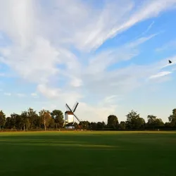 De Oude Molen - Uden