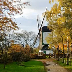 De Oude Molen - Uden
