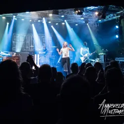 De Pul Market - Uden