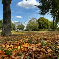 Uden City Park (Stadspark) - Uden