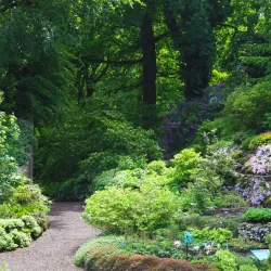 Botanical Gardens Utrecht (Universiteitsmuseum Tuinen) - Utrecht
