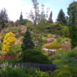 Botanical Gardens Utrecht (Universiteitsmuseum Tuinen) - Utrecht