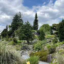 Botanical Gardens Utrecht (Universiteitsmuseum Tuinen) - Utrecht