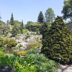 Botanical Gardens Utrecht (Universiteitsmuseum Tuinen) - Utrecht