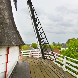 De Molen van Mensinge - Veendam