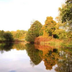 Park Borgerswold - Veendam