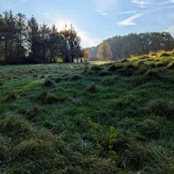 Park Borgerswold - Veendam