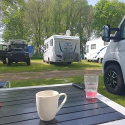 Park Borgerswold - Veendam