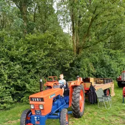 Park Borgerswold - Veendam