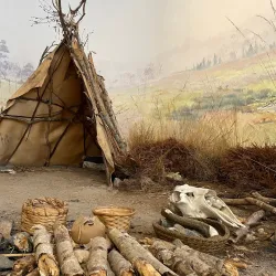 Peat Museum (Turf Museum) - Veendam