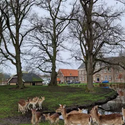 Veendam Town Hall - Veendam