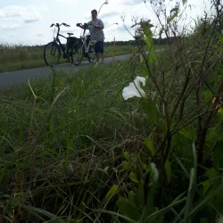 Wildervank Canal - Veendam