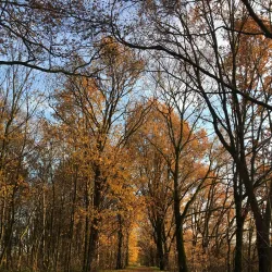 Golfclub Welschap - Veldhoven