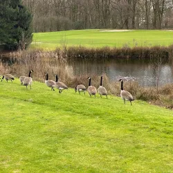 Golfclub Welschap - Veldhoven