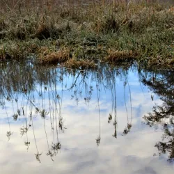 Kleine Dommel River - Veldhoven