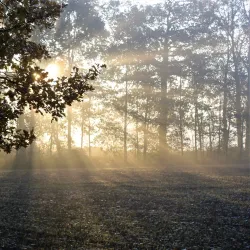 Kleine Dommel River - Veldhoven