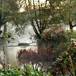 Kleine Dommel River - Veldhoven