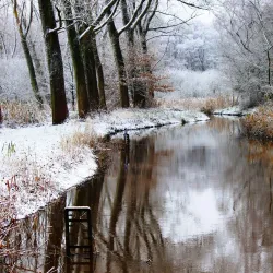 Kleine Dommel River - Veldhoven