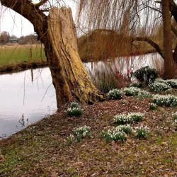 Kleine Dommel River - Veldhoven