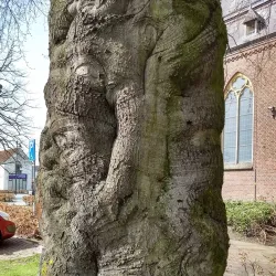 Sint-Willibrorduskerk - Veldhoven