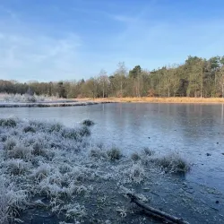 Veldhovense Heide - Veldhoven