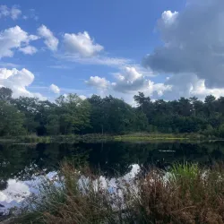 Veldhovense Heide - Veldhoven