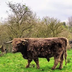 Broekpolder Park - Vlaardingen