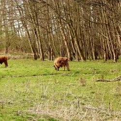 Broekpolder Park - Vlaardingen