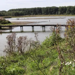 Broekpolder Park - Vlaardingen
