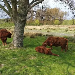 Broekpolder Park - Vlaardingen