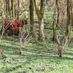 Broekpolder Park - Vlaardingen