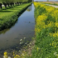 De Broekpolder Golf Club - Vlaardingen