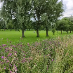 De Broekpolder Golf Club - Vlaardingen