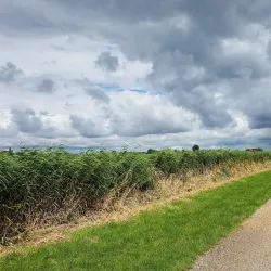 De Broekpolder Golf Club - Vlaardingen