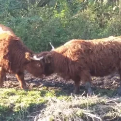De Broekpolder Golf Club - Vlaardingen