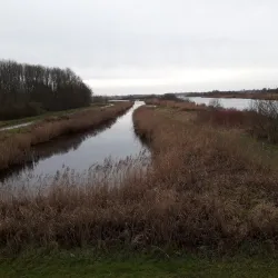 De Broekpolder Golf Club - Vlaardingen
