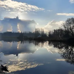 De Vlaardingse Vaart - Vlaardingen