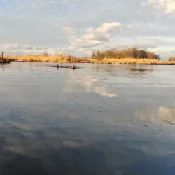 De Vlaardingse Vaart - Vlaardingen