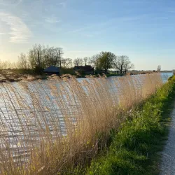De Vlaardingse Vaart - Vlaardingen