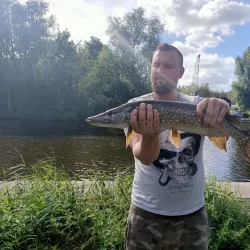 De Vlaardingse Vaart - Vlaardingen