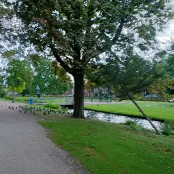 Het Vlaardingse Hof - Vlaardingen