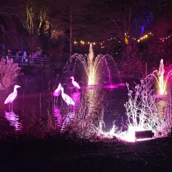 Het Vlaardingse Hof - Vlaardingen