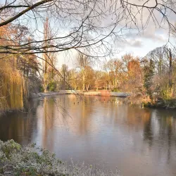 Het Vlaardingse Hof - Vlaardingen