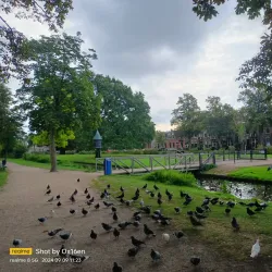 Het Vlaardingse Hof - Vlaardingen