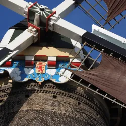 Vlaardingen City Hall - Vlaardingen